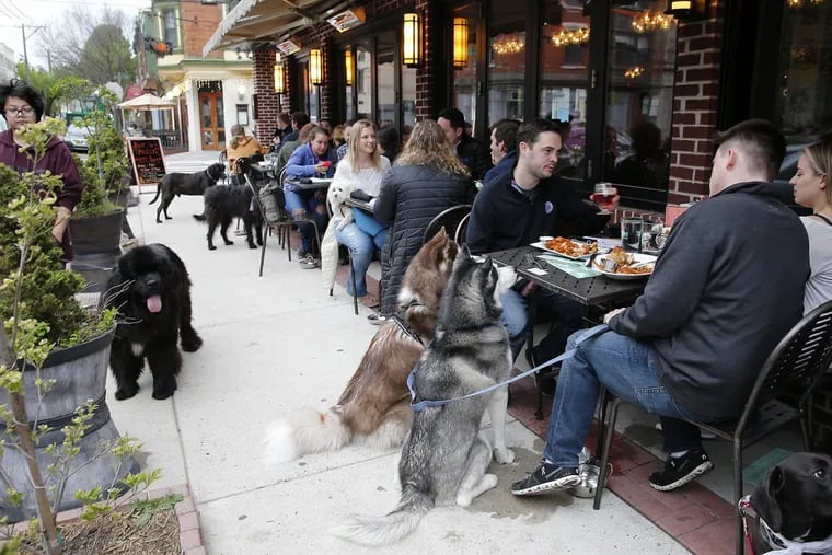 Dogs and their owners during Yappy Hour, a dog themed happy hour with their owners, outside the Bainbridge Street Barrel House in 2017.