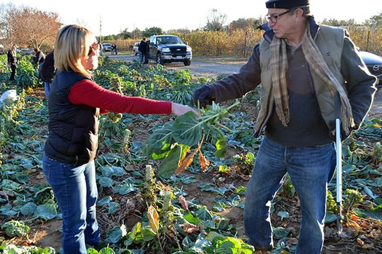 Kristina Guttadora, director of the Farmers Against Hunger program Director, and New Jersey Agriculture Secretary Douglas H. Fisher join volunteers who were harvesting brussel sprouts at Eastmont Orchards in Colts Neck, Monmouth County on Nov. 20. (Courtesy New Jersey Department of Agriculture.)