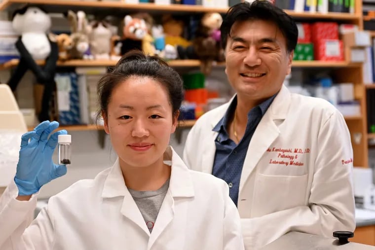 Penn scientists Ruth Choa (left) and Taku Kambayashi found a way to make obese mice lose 40% of their body weight, inducing them to secrete the fat through their skin. Choa holds a vial of shaved mouse hair.
