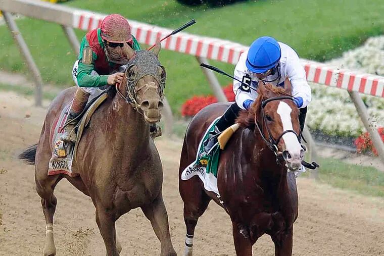 Shackleford , ridden by Jesus Castanon, works down the stretch in front of Animal Kingdom to win the Preakness by less than a length. It was Castanon's first win in a Triple Crown race.