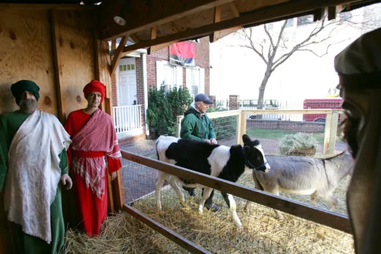 Gregg Knott of Perkiomenville, who owns What-Knott Farm and traveling petting zoo, leads Milkshake, a black-and-white heifer, to the nativity scene.