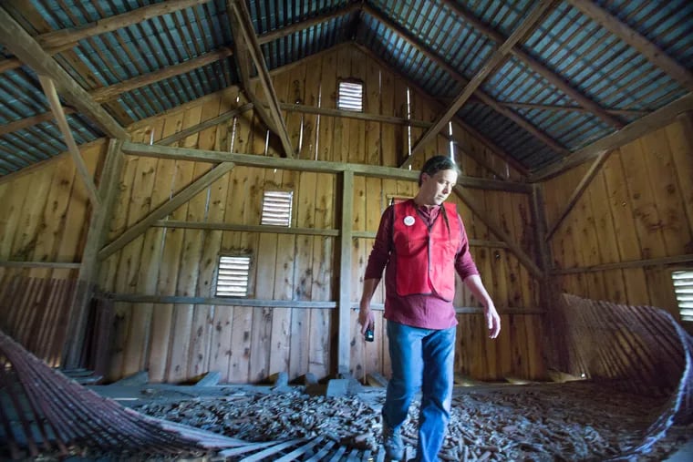 David Maclay, an expert in barn history, inspects the inside of a historic barn built in the Civil War era near York Springs, Pa.