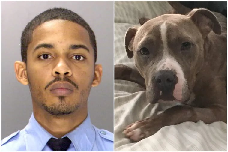 Former Philadelphia police officer Michael Long, at left, pleaded guilty to animal cruelty against Cranberry the dog, at right.