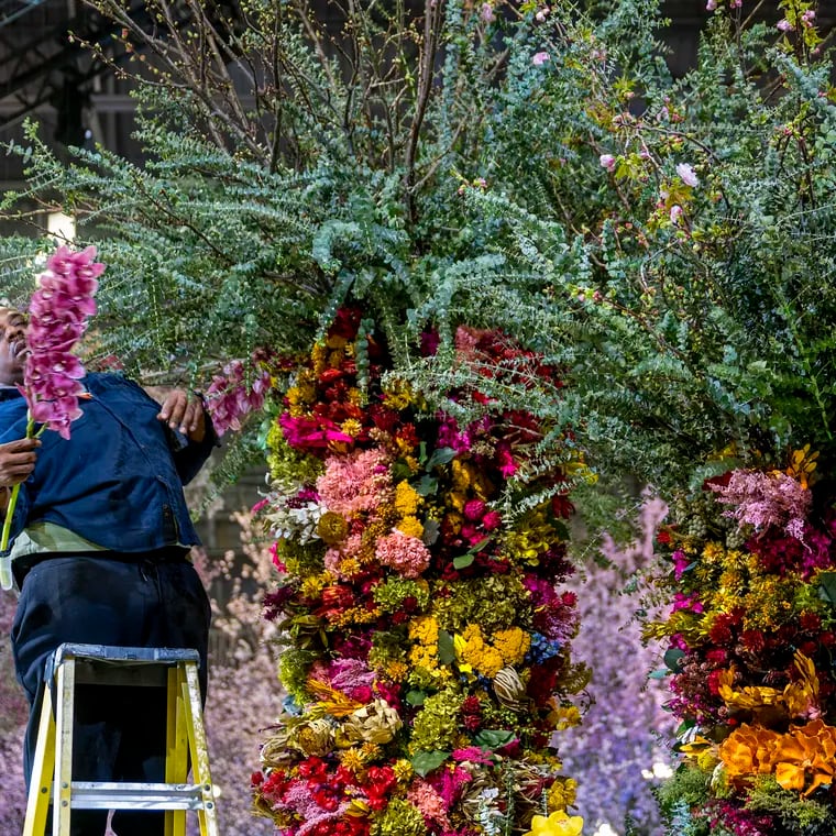 James Walker places some Cymbidium orchids on the Pennsylvania Horticultural Society’s main entrance garden exhibit in the Convention Center Wednesday, Feb. 28, 2024, as preparations continue for the opening of the 2024 Flower Show.