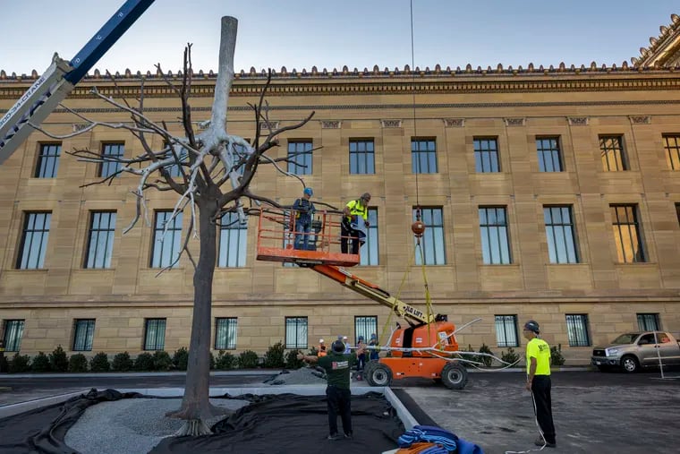 Workers with Mariano Brothers Specialty Moving and Rigging install Identità, a sculpture by Giuseppe Penone, outside the Philadelphia Museum of Art.