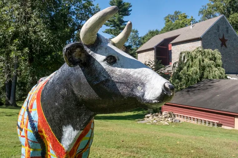 A colorful cow sculpture greets visitors as they approach the 2.8-acre property in West Chester, where a former barn is now a four-bedroom house.