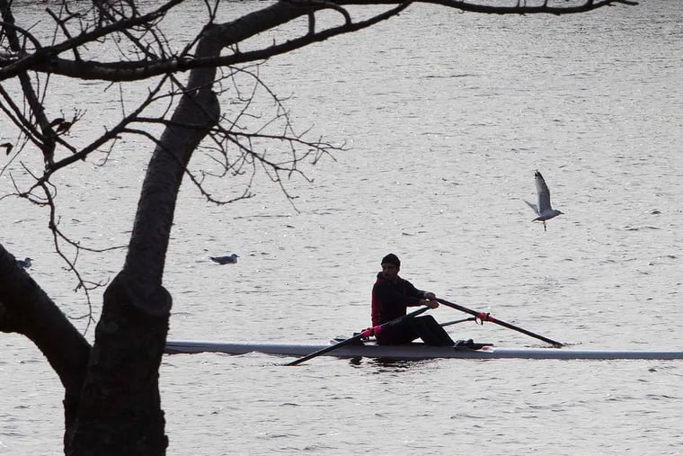 A rower on the Schuylkill in December 2017. It will be quite warm Saturday, but any rowers will be fighting the wind by the afternoon.