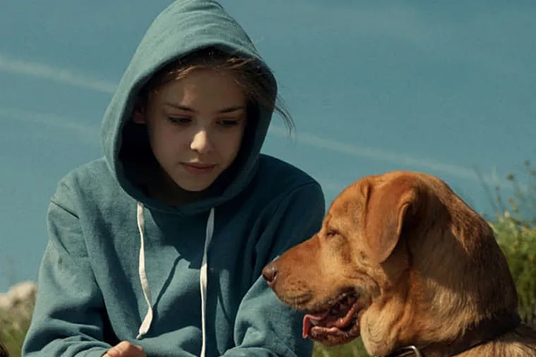 It's a dog's life: Zs&#0243;fia Psotta and Bodie in Korn&#0233;l Mundrucz&#0243;'s allegorical drama &quot;White God.&quot;