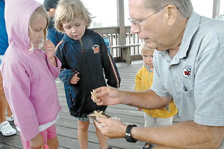 Rick Bushnell shows starfish to, from left to right, Juniper Reagan,5, and siblings Cedar Reagan, 4, and Maple Reagan, 2; the kids aref rom Hillsborough, NJ. (April Saul / Inquirer)