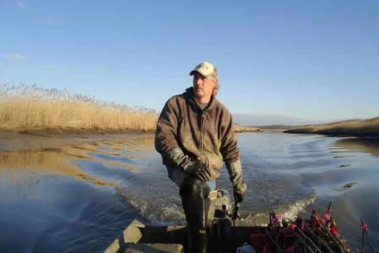 JMUSKRAT10-a - trapping expedition with Steve Fisher.
Steve Fisher is among the last of a dying breed of muskrat trappers in Lower Alloways Creek, Salem County. But he still catches about 6,000 to 9,000 muskrats a year. The season - Dec. 1 to March 15 - is nearing its end. We go trapping with him and explore this tradition in South Jersey, where the rodent is eaten at annual dinners (with potato salad and green beans). We also look at the market for muskrat fur -- "That's where the money's at," one trapper says. We attend a dinner where 450 muskrats will be served.