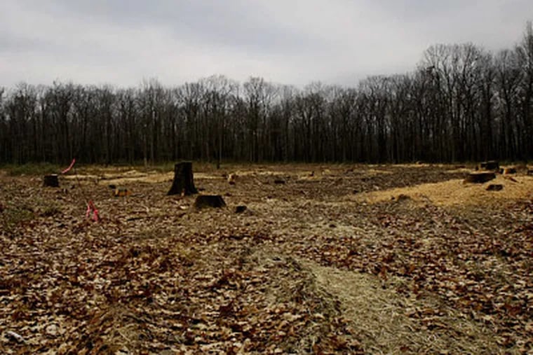Forest has been cleared for a drilling pad in Sproul State Forest, in north-central Pennsylvania.