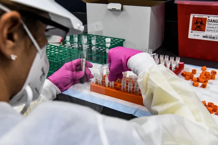 A lab technician sorting blood samples inside a lab for a COVID-19 vaccine study at the Research Centers of America in Hollywood, Fla., on Aug. 13, 2020.