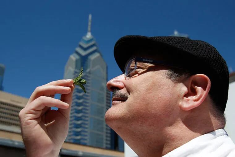 Chef Jim Coleman sniffs a sprig of mint from the rooftop garden at the
Sofitel in Philadelphia.