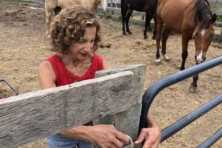 Sarah Rabinowitz Mognoni  doing her chores at Labrador Hill Sanctuary, the 15-acre facility for unwanted horses she founded in 2000. Last week, she was charged with animal cruelty, but is protesting her innocence.