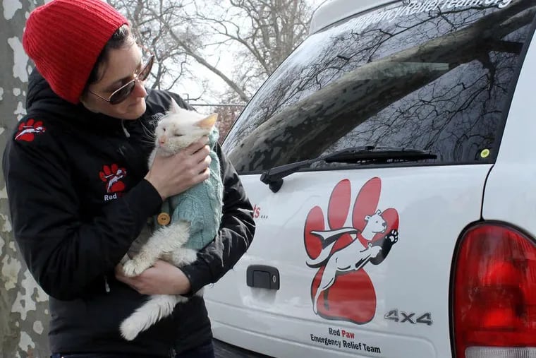 Jennifer Leary, founder of Red Paw Emergency Relief, with Baldwin, a fire rescue cat, outside Red Paw’s headquarters in South Philadelphia in 2014.