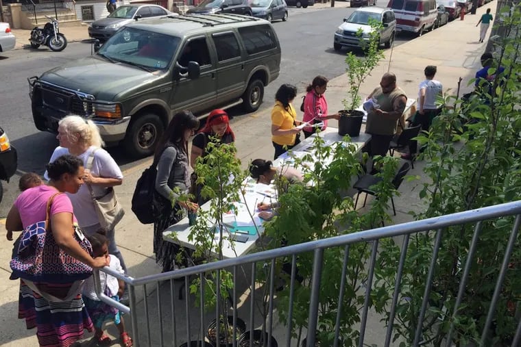File: Nueva Esperanza hosting a tree giveaway as part of the TreePhilly program to boost every neighborhood's tree canopy.
