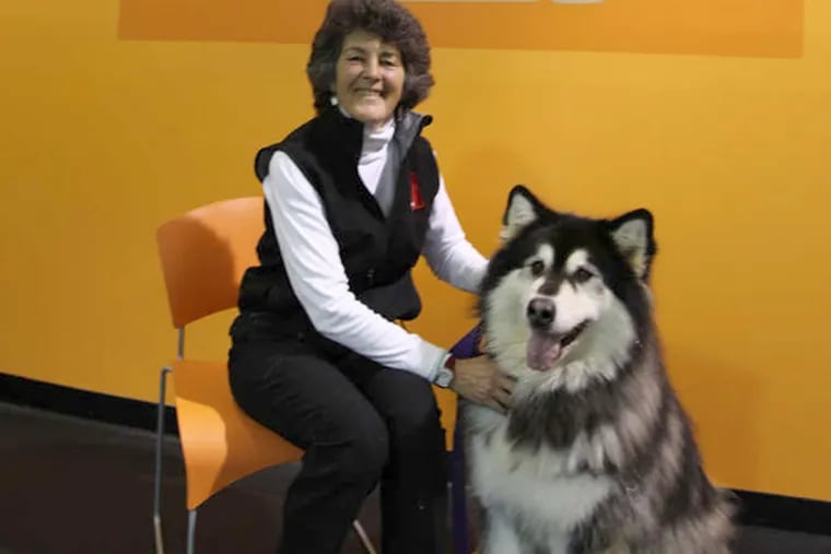 Mary Remer, a co-owner of What a Good Dog, with regular client Bella, a malamute.