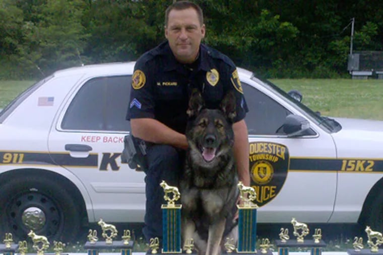 Schultz with his handler, Cpl. Mark Pickard of the Gloucester Township Police Department. Pickard had trained the dog.