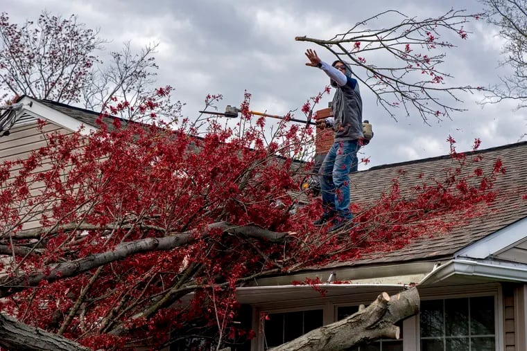 Rob Santiago clears branches of a tree that fell on a roof in Gloucester City after high winds moved through the area last April.