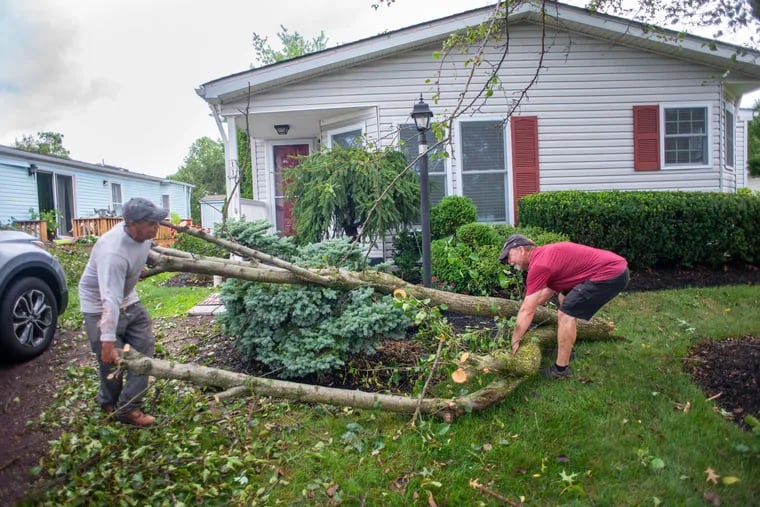 Pedro Ponce deLeon (left) and Mike Smith (right) remove debris from a fallen tree as people sift through some of the damage caused by the tornado in Hidden Springs, Franconia Township.