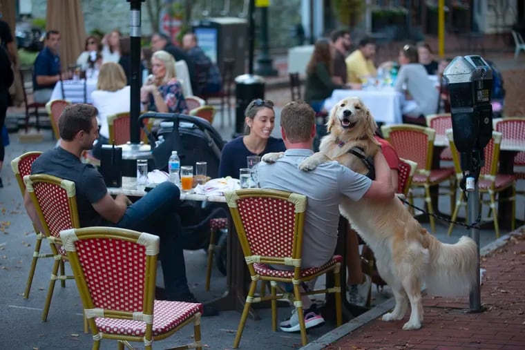 Patrick Murphy gets a hug from his golden retriever, Deacon, as he dines with friends outdoors on Gay Street in West Chester on Oct. 22, 2020.