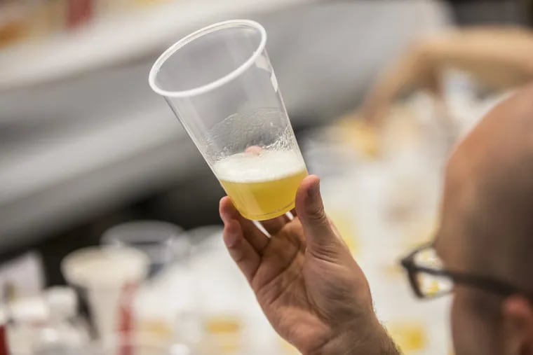 Matthew Farber, of the University of the Sciences, holds up a beer to check its color and clarity during this year's Brewvitational.