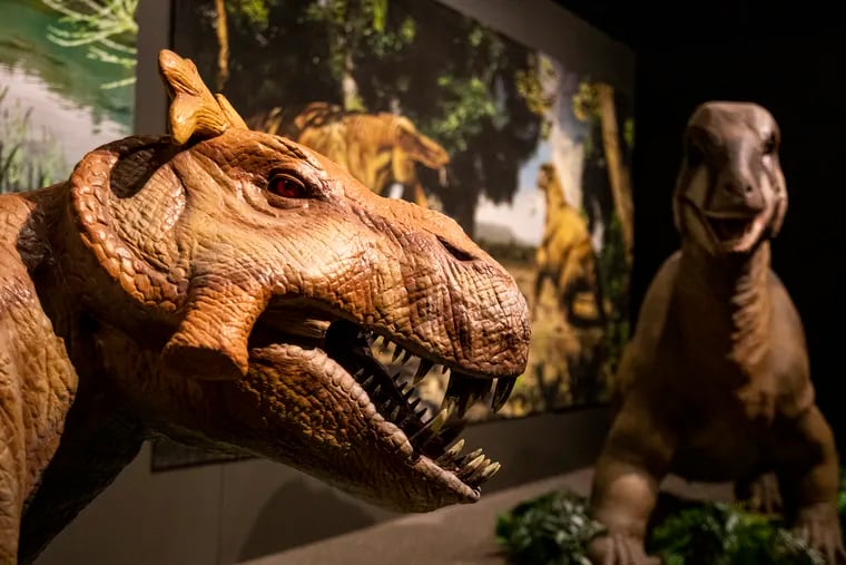 An animatronic model of a Estemmenoshuchus, (left), and a Moschops, (right), can be seen at the exhibit for the Permian Monsters: Life Before the Dinosaurs at the Academy of Natural Sciences on Thursday. The exhibit features animatronic life sized animals from the permian period along with some fossils. It opens Friday.