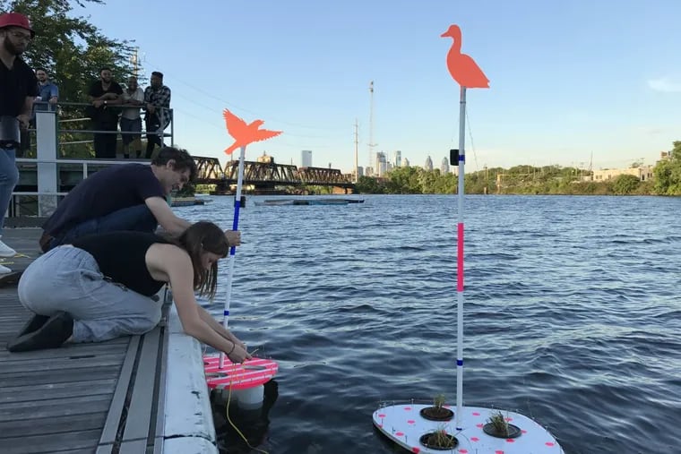 Gabriel Kaprielian, a professor in the architecture department at Temple University’s Tyler School of Art, drops his floating habitat pods into the Schuylkill River at Bartram’s Garden with help from Kya Kerner, a recent Tyler graduate. It is part of Ecotopian Toolkit for Wetland, a design competition meant to stoke interest in the river and engagement in the environmental challenges ahead.