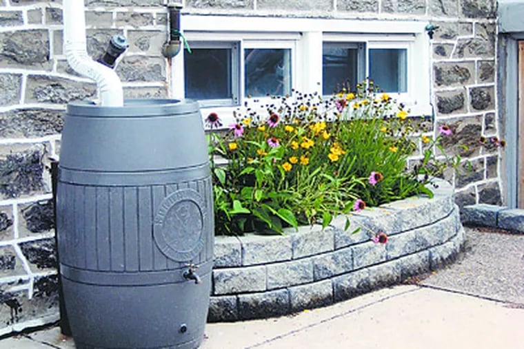Clean out your rain barrels to get rid of residual algae.