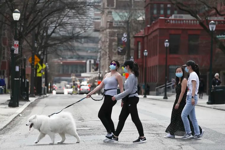 Naomi, a Samoyed dog, leads the pack as Penn Dental students Danielle Rays (far left), Jessica Pinkhasov (center left), Amanda Gu (front right), and Selina McLeod (back right), dog owner, enjoy the weather and go for a walk by Penn’s campus on Friday.