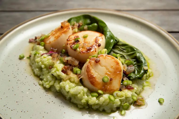 Cape May scallops with green risotto, braised chard, and pork guanciale at Summer Salt in Avalon.