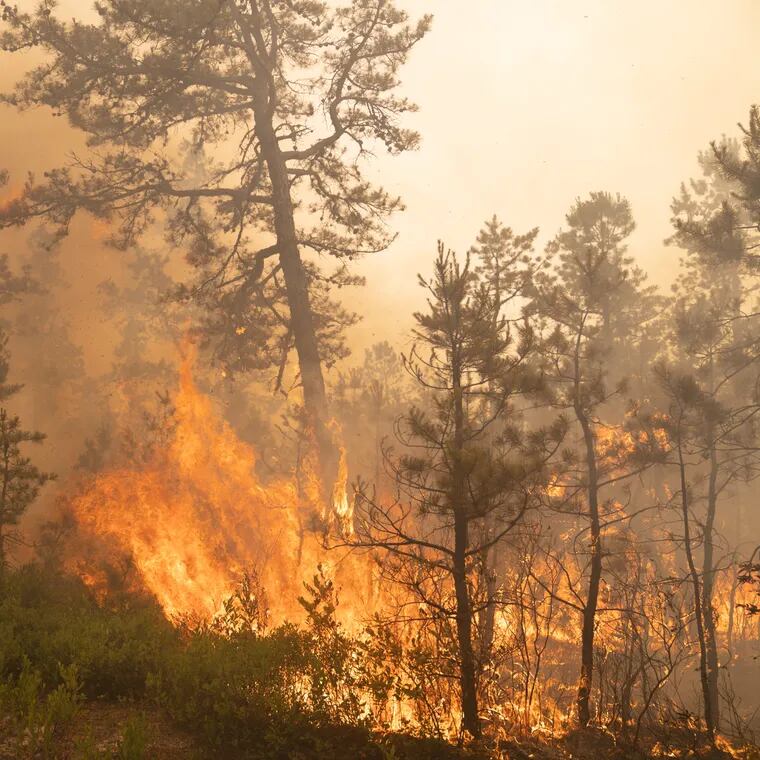 A view of the Mullica River Fire in New Jersey’s Wharton State Forest on June 20, 2022. A wildfire broke out Wednesday in Wharton along Jackson Road.