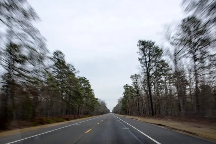 A stretch of road through the NJ Pinelands on NJ State Rt. 49.