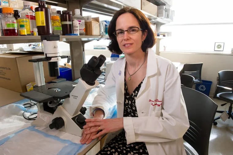 Susan Domchek, director of Penn’s Basser Center for BRCA, co-led a study that led to approval of the first treatment breast cancer caused by BRCA mutations