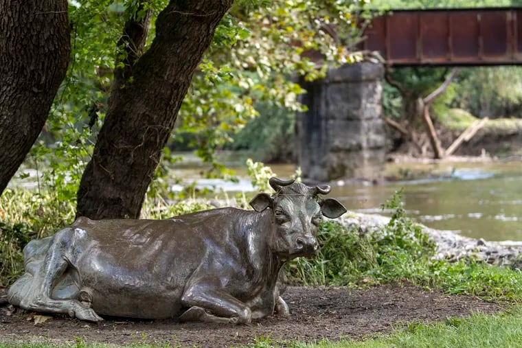 A statue of a cow is shown at The Brandywine River Museum of Art,  a day after suffering a catastrophic flooding in Chadds Ford, Pa. Friday, September 3, 2021.