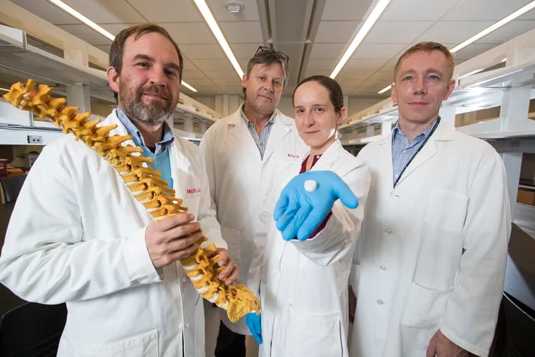 Penn scientists are making synthetic discs like the one held by Sarah Gullbrand, center, to replace herniated discs in the spine. She and colleagues Rob Mauck (left), Tom Schaer, and Harvey Smith have tested the discs in goats and rats.