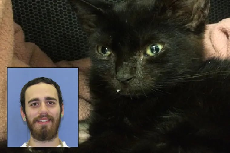 James P. Myers, 25, of West Chester, pleaded guilty July 15 to one count each of drug possession, possession of drug paraphernalia and cruelty to animals. The kitten, named Hope when he was found, now has a permanent home with the veterinarian who was on duty when the cat arrived at a Malvern clinic.