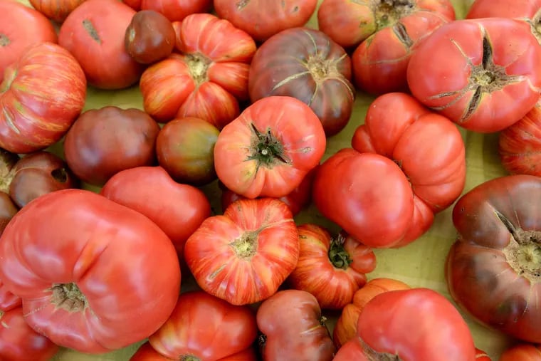 Heirloom tomatoes from Cherry Lane Farms of Bridgeton, N.J.