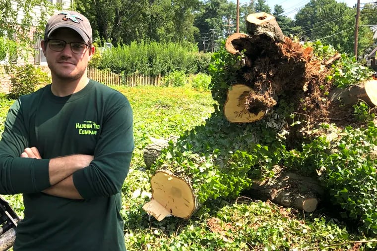 Brian Rattay, a foreman with the Haddon Tree Company, pictured with the remains of a towering red maple his crew recently took down in Haddon Heights.