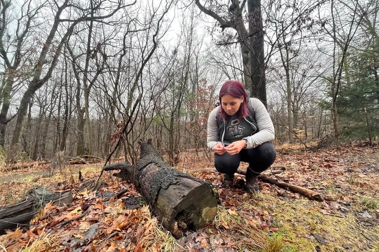Barbora Batokova, president of the Western Pennsylvania Mushroom Club, forages in Pittsburgh's Frick Park on Saturday, March 2. She's the author of a new book:  Hunting Mushrooms: How to Safely Identify, Forage and Cook Wild Fungi