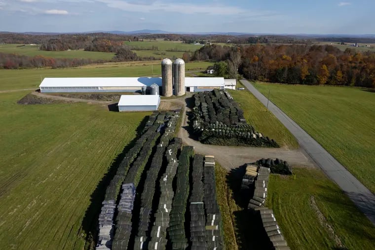 Over 6,000 rolls of artificial turf sit on B.D. Hill Side Farm in Nicholson, Pa., on Thursday, Oct. 26, 2023. Re-Match, a Danish recycling company, allegedly told the farm owner it would pay $96,000 a year to store the discarded turf but allegedly stopped making payments in 2019. The farm sued Re-Match and the two recently settled for undisclosed terms.