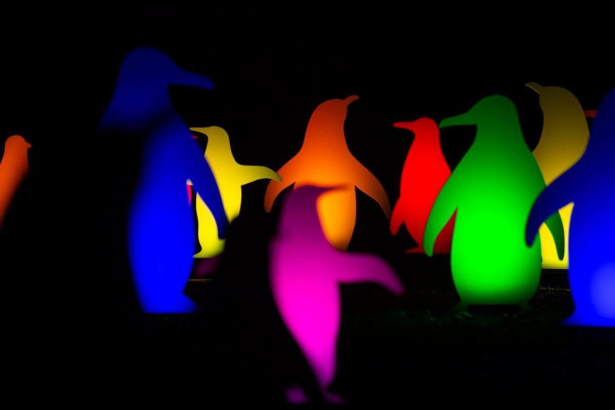 Philadelphia Zoo’s massive holiday light show open through Jan. 5