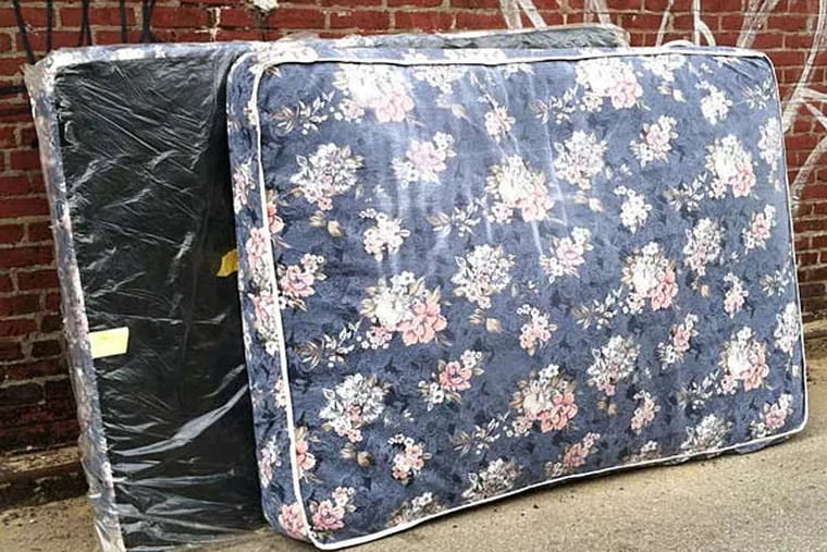 A mattress and box spring in a University City alley. Only one has the required plastic covering. At right, a bedbug in a container that's used for sniffer-dog practice. (April Saul/Staff)