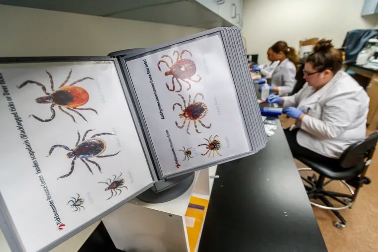 An illustrated guide to different species of ticks sits on the counter of the Dr. Jane Huffman Wildlife Genetics Institute for the lab staff to use in identify the various ticks they receive from all over the country.