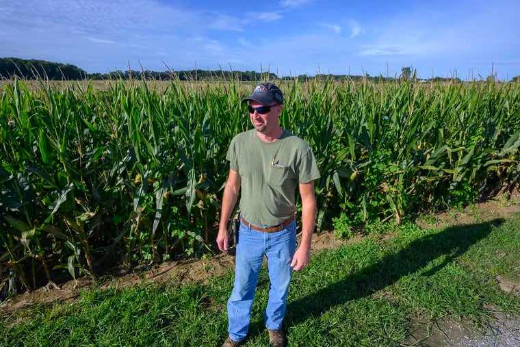 Farmer David Dolbow stands near his corn field on his Mannington Township, N.J., property.