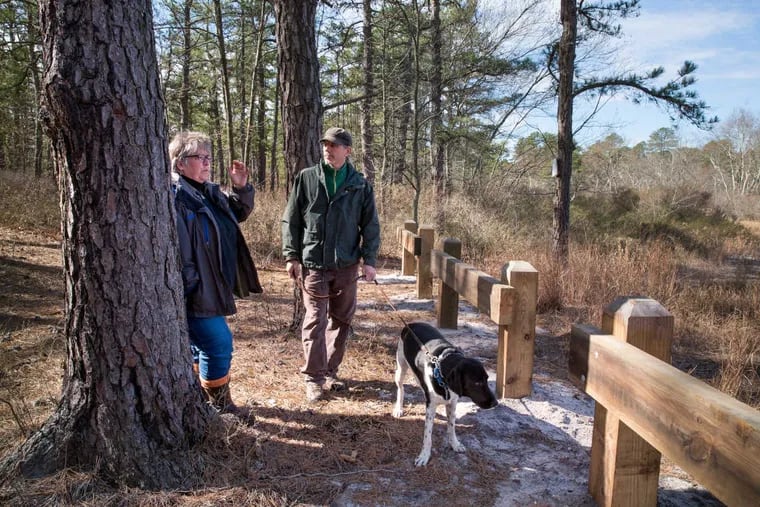 Terry Schmidt, senior management assistant at the New Jersey State Parks Service, left, and John Bunnell, right, senior scientist at the Pinelands Commission, along with dog Dexter, stand near one of the recently completed wooden barricades that the NJDEP has installed along trails in Wharton State Forest to prevent off-road vehicles from driving into ponds that are important breeding habitats for frogs and other creatures.