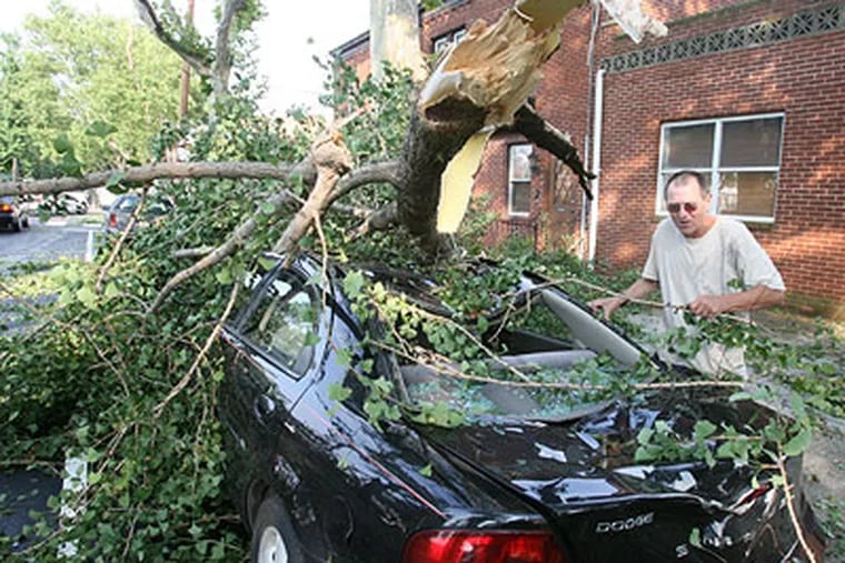 John McCann checks out a woman's car that was crushed by a fallen tree on the 1700 block of Moyamensing St. in South Philadelphia. (Charles Fox / Staff Photographer)