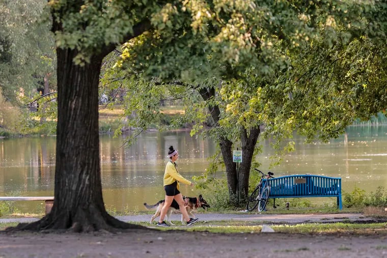A unidentified man relaxes on a bench with his bicycle and a woman walks her dog in FDR park on a beautiful 77Â° fall day Monday,  September 26, 2022