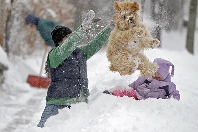 Lindsay Knutson, left, plays in the heavy snow with her family dog, Aspen, and daughter Flora Bejblik, 4, as her husband Bob Bejblik, rear left, shovels.