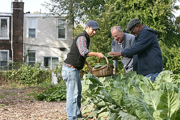 Brandon Hoover and Skip Wiener, both of the Urban Tree Connection, and local gardener Woodrow Fletcher pick some collard greens in the garden at 53rd and Wyalusing Sts. (Charles Fox / Staff)